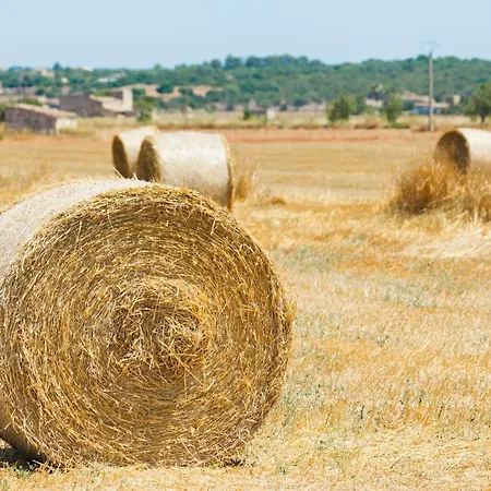 159 Casa Alba Etv9785 By Mallorca Charme *