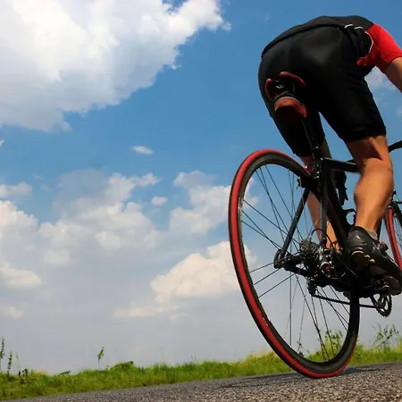 159 Casa Alba Etv9785 By Mallorca Charme Semesterbostad Can Picafort (Mallorca)