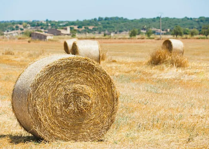 159 Casa Alba Etv9785 By Mallorca Charme *