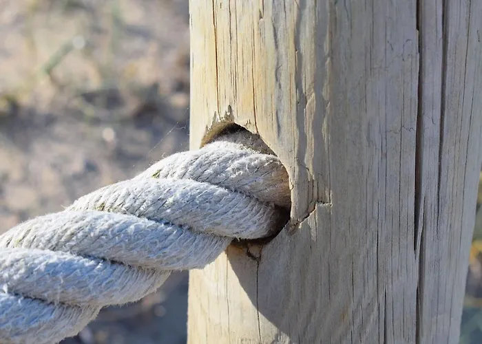 Semesterbostad 159 Casa Alba Etv9785 By Mallorca Charme Can Picafort (Mallorca)