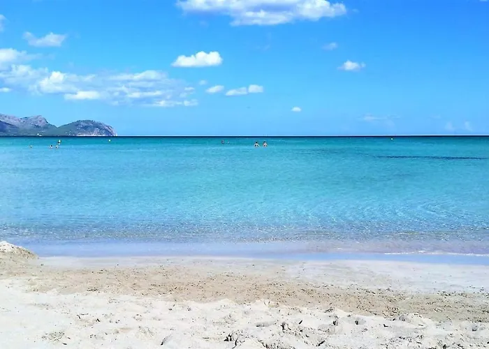 159 Casa Alba Etv9785 By Mallorca Charme Holiday home Can Picafort (Mallorca)